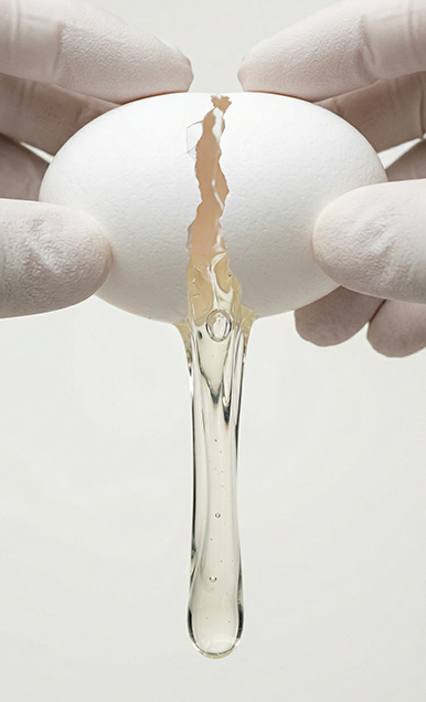 Referência em qualidade proteica